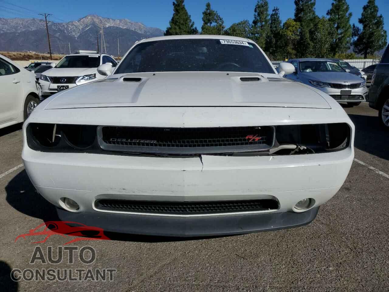DODGE CHALLENGER 2013 - 2C3CDYBT8DH725052