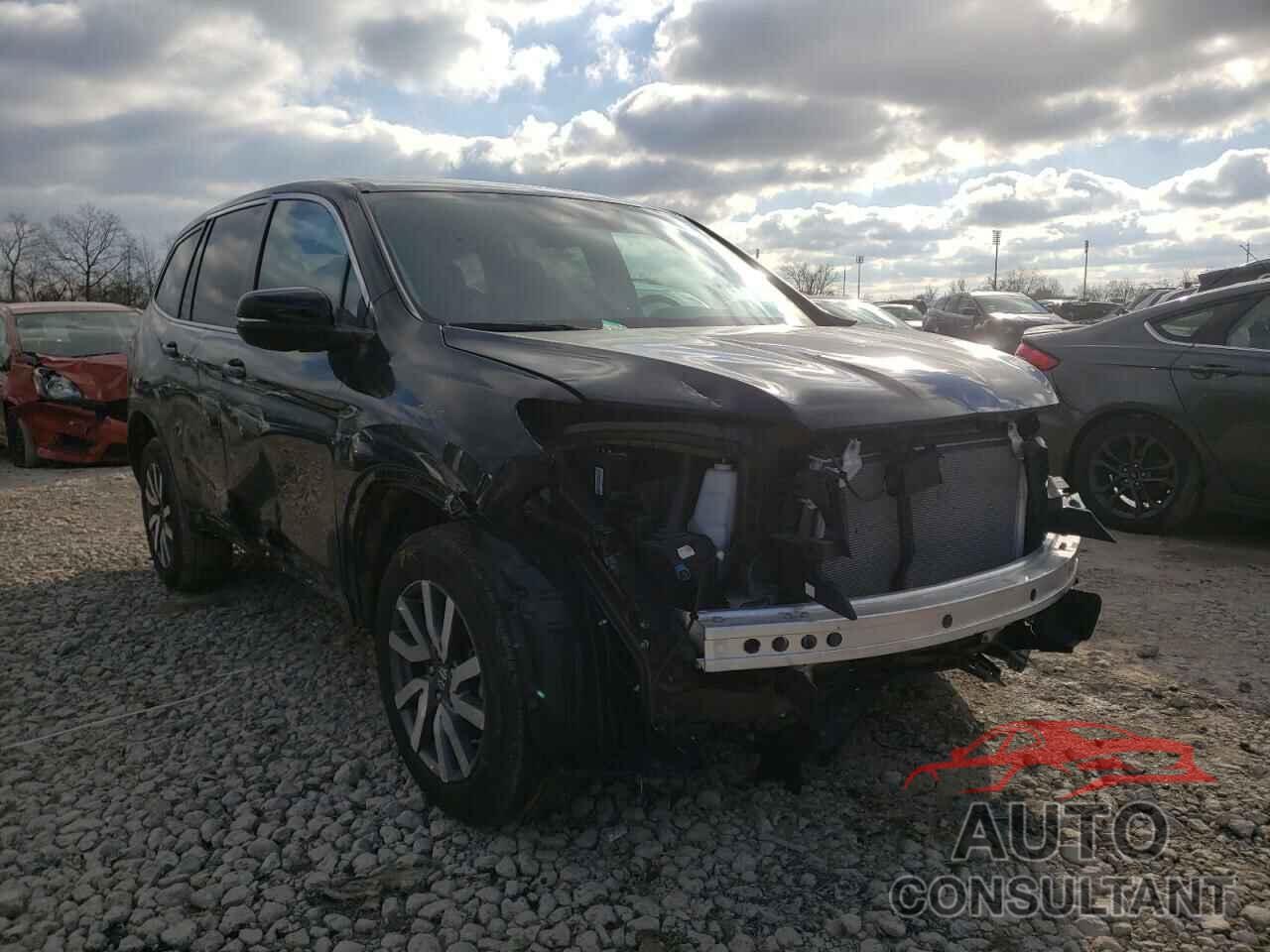 HONDA PILOT 2021 - 5FNYF6H31MB008294