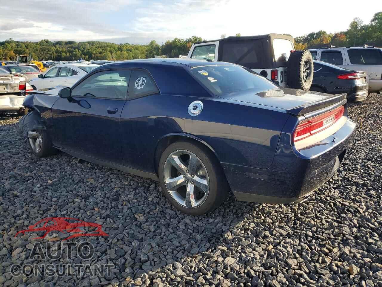 DODGE CHALLENGER 2014 - 2C3CDYBT8EH103990