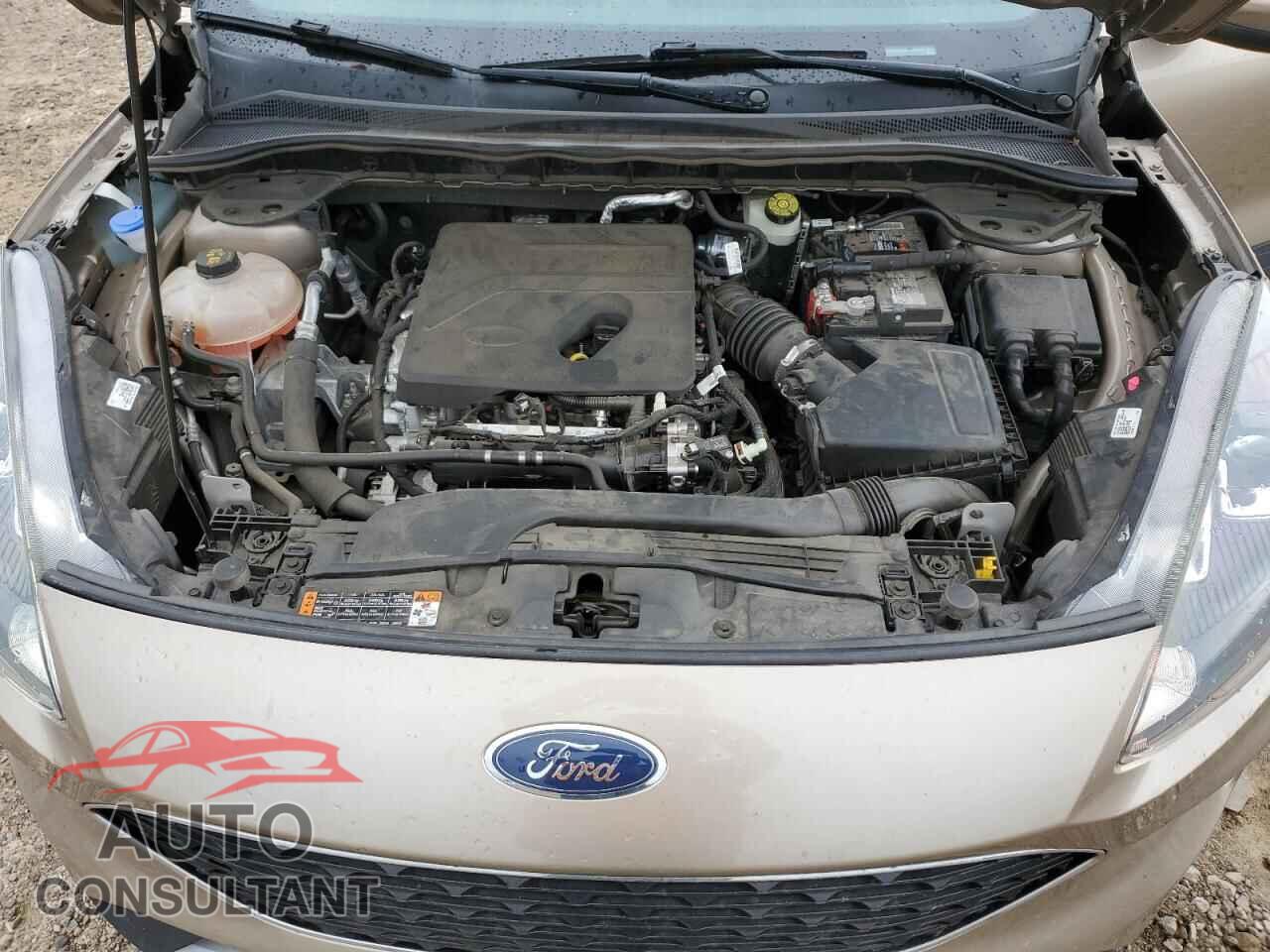 FORD ESCAPE 2020 - 1FMCU0G68LUA83004