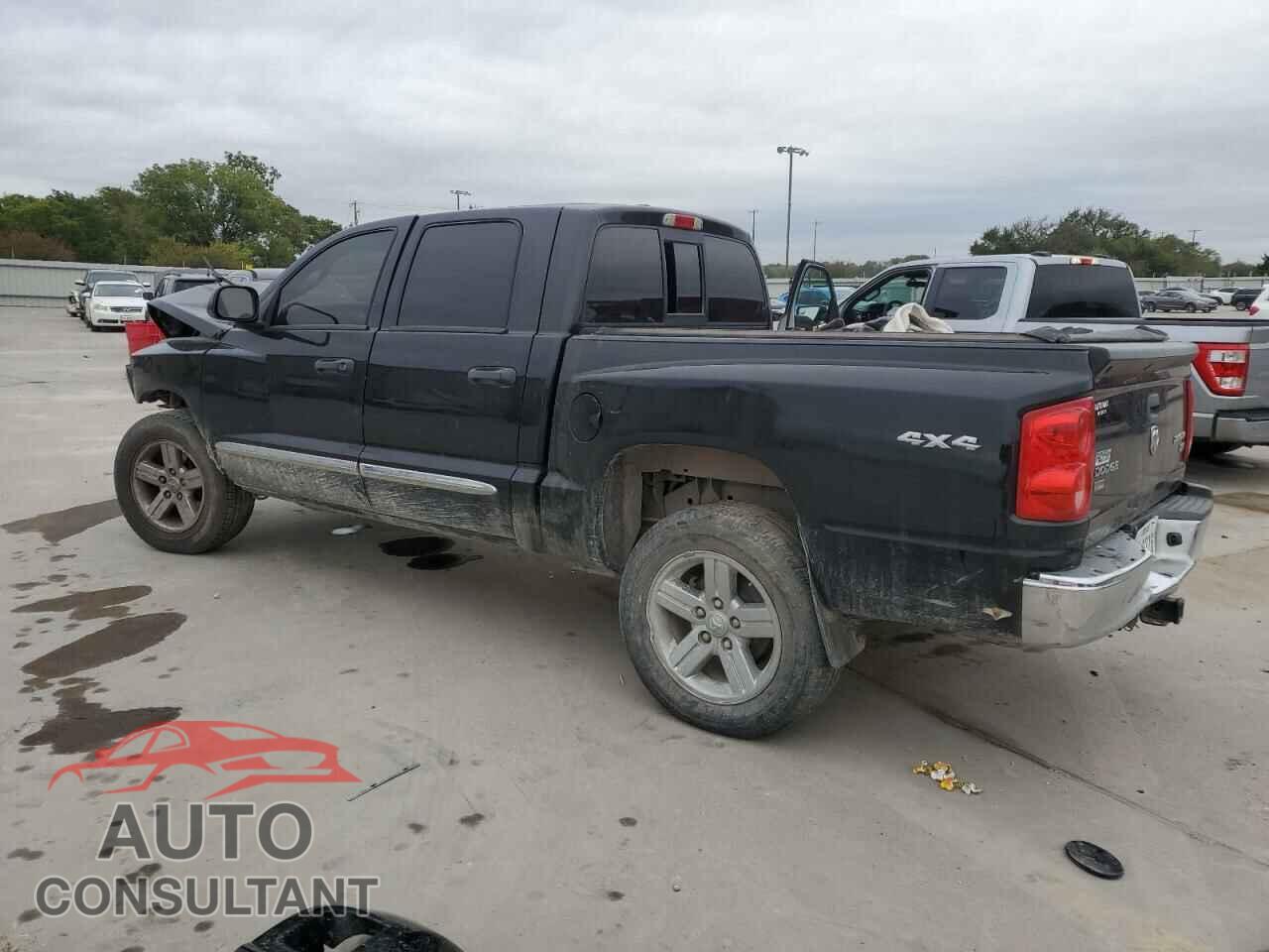 DODGE DAKOTA 2010 - 1D7CW5GP4AS144237