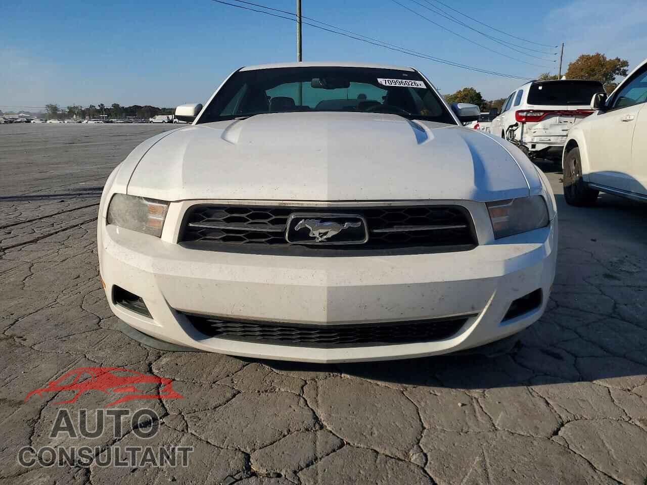FORD MUSTANG 2010 - 1ZVBP8AN2A5118775