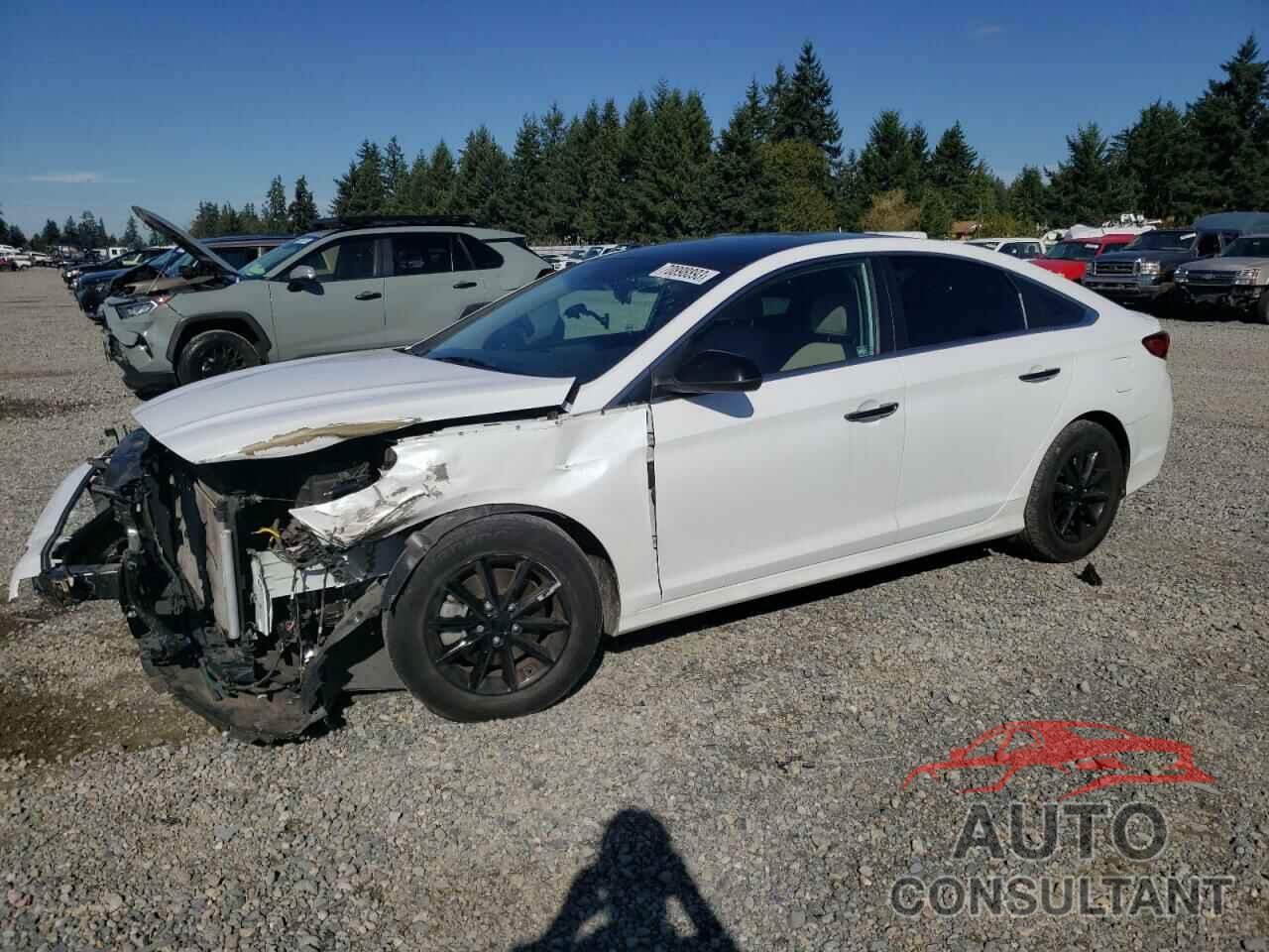 HYUNDAI SONATA 2018 - 5NPE24AF6JH652975