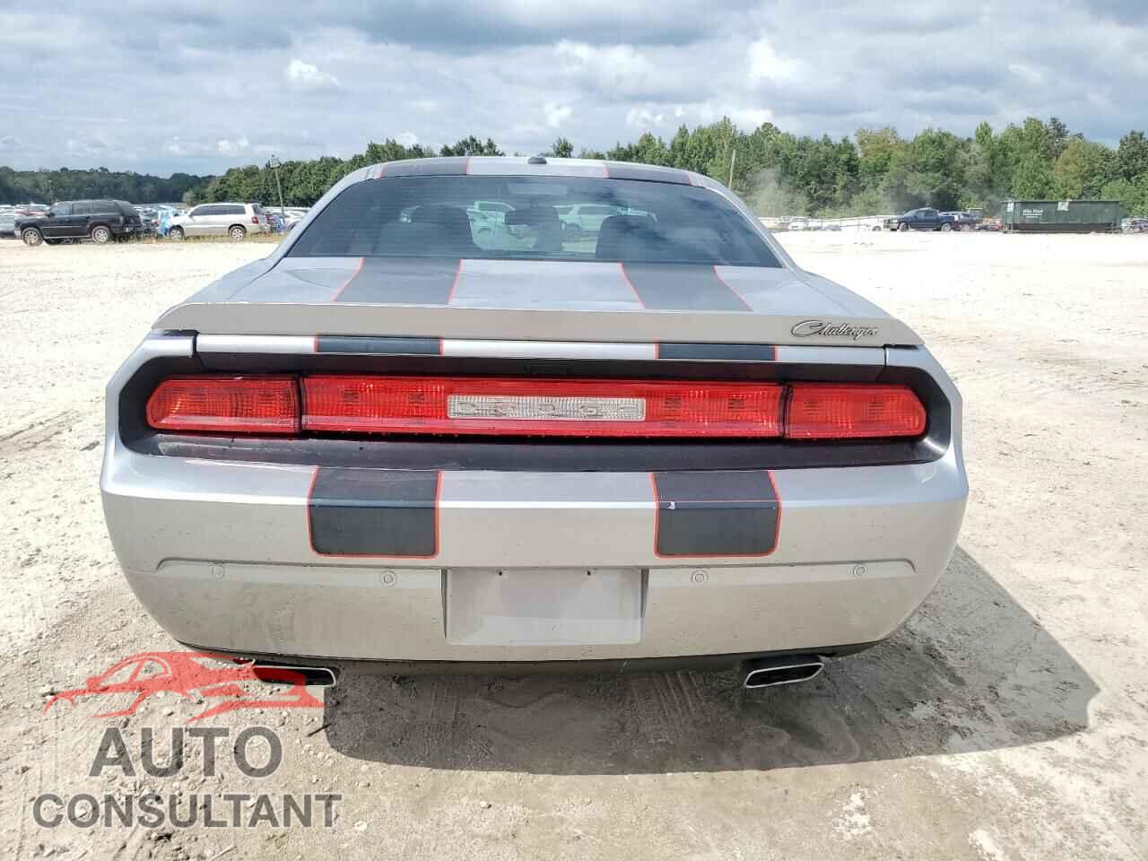 DODGE CHALLENGER 2013 - 2C3CDYBT1DH685641