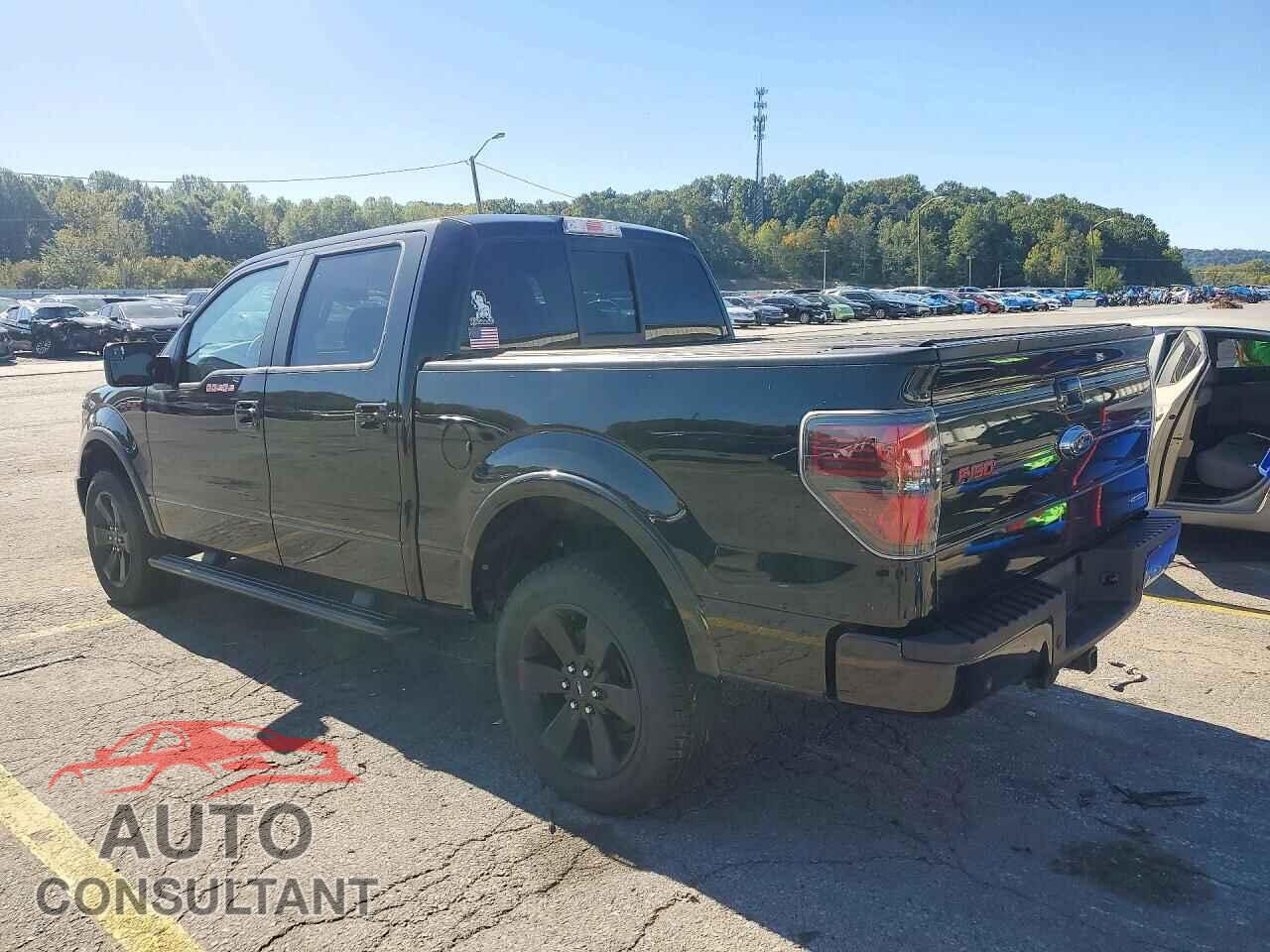 FORD F150 2013 - 1FTFW1EF6DFD02469