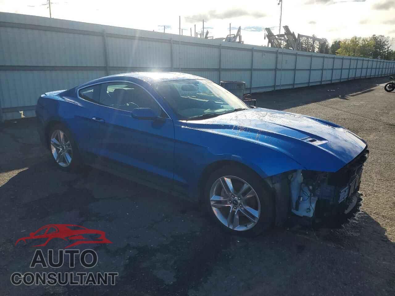 FORD MUSTANG 2019 - 1FA6P8TH5K5191805