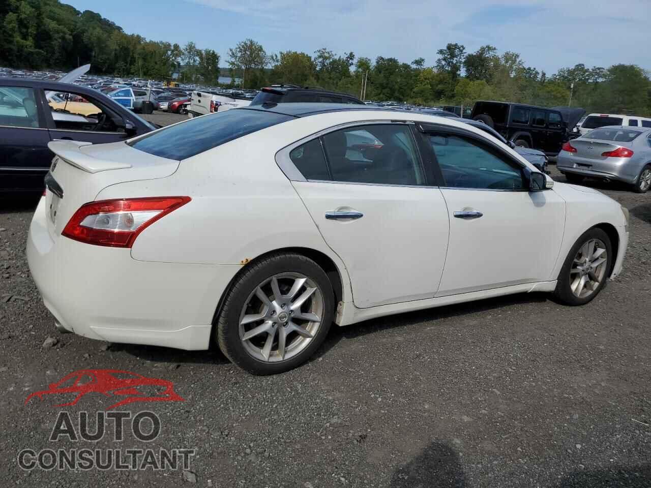 NISSAN MAXIMA 2009 - 1N4AA51E29C845703