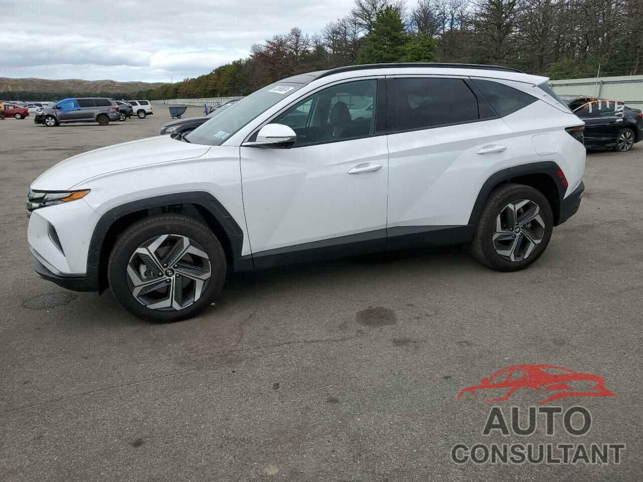 HYUNDAI TUCSON 2024 - 5NMJECDE4RH395102