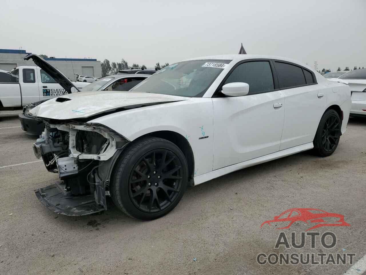 DODGE CHARGER 2019 - 2C3CDXCT8KH598194