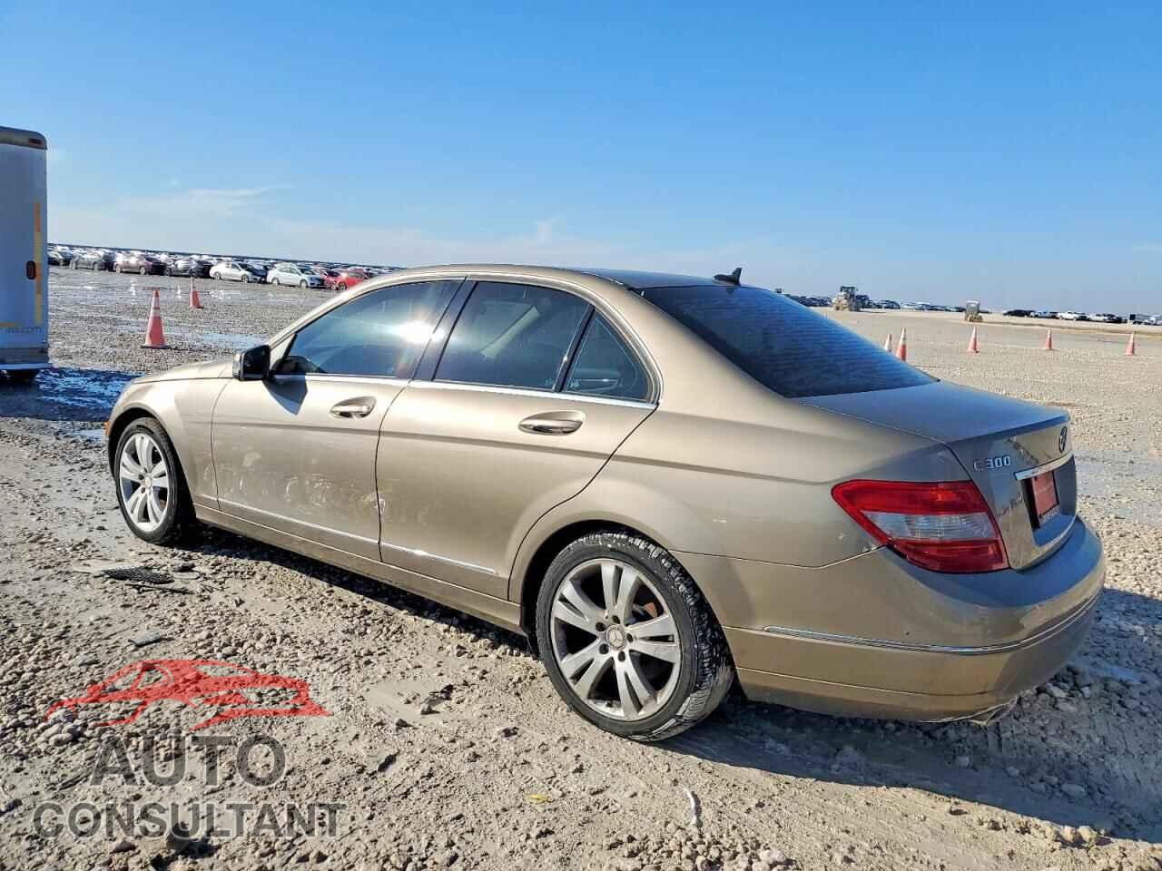 MERCEDES-BENZ C-CLASS 2010 - WDDGF8BB3AR117617