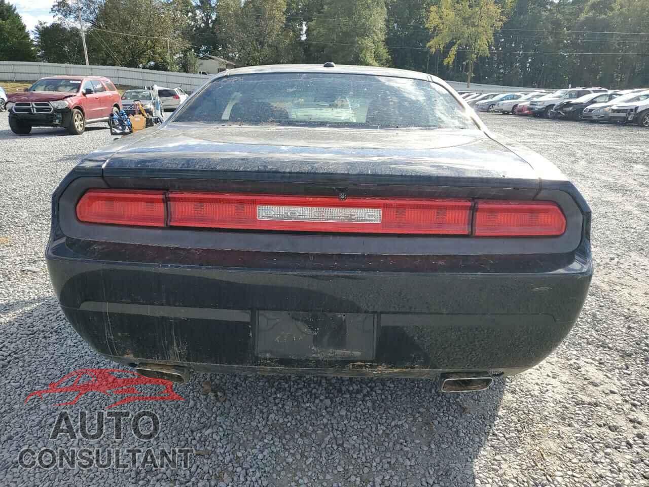 DODGE CHALLENGER 2013 - 2C3CDYAG3DH511607