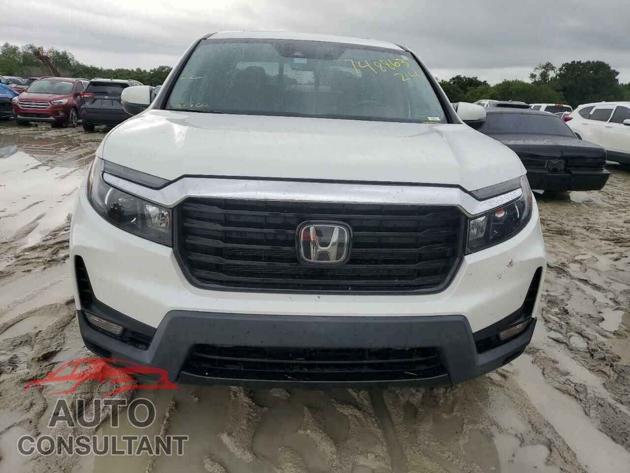 HONDA RIDGELINE 2021 - 5FPYK3F75MB006538