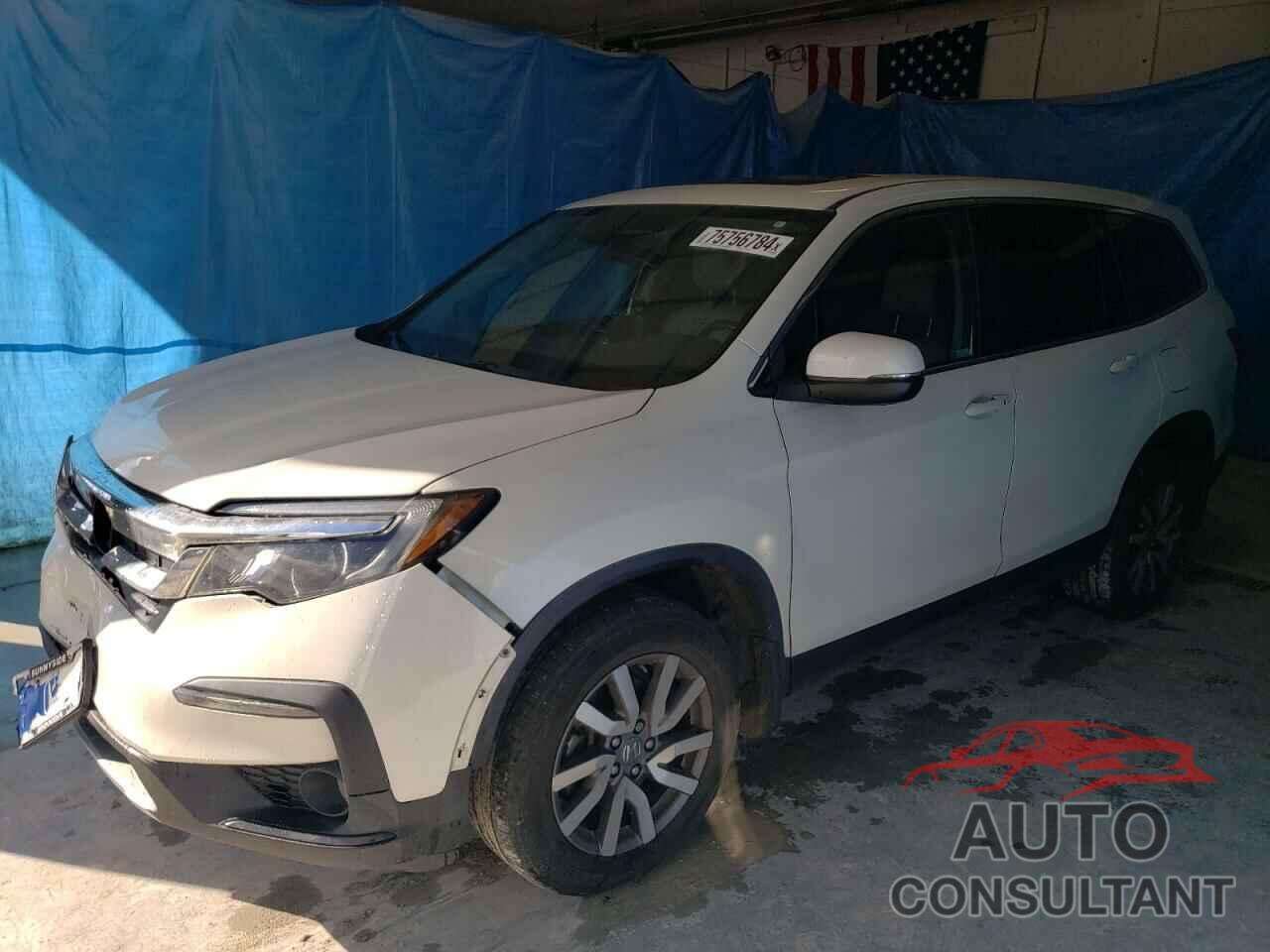 HONDA PILOT 2019 - 5FNYF6H51KB077369