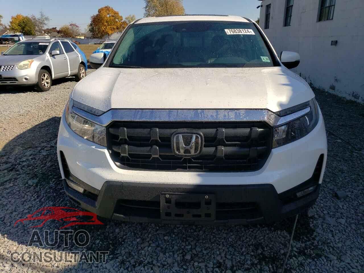 HONDA RIDGELINE 2024 - 5FPYK3F52RB008754