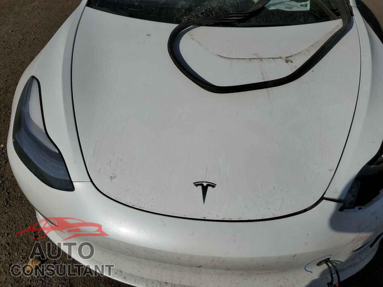 TESLA MODEL 3 2019 - 5YJ3E1EA5KF483219