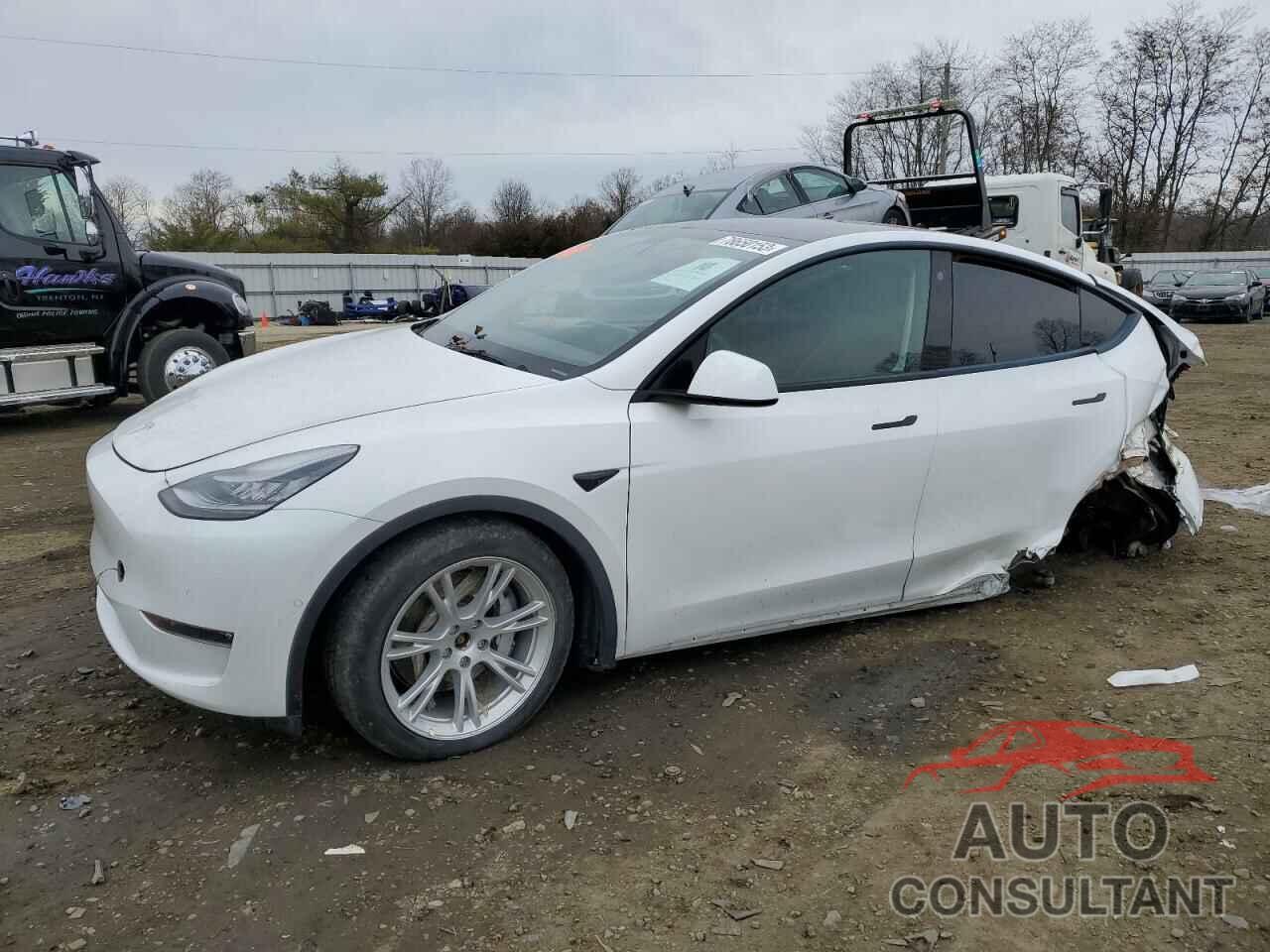 TESLA MODEL Y 2021 - 5YJYGAEE7MF145486