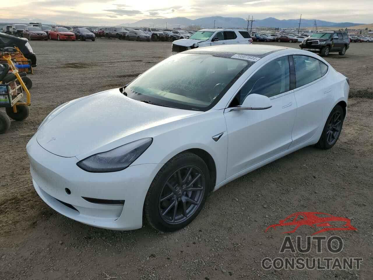 TESLA MODEL 3 2020 - 5YJ3E1EB5LF617818