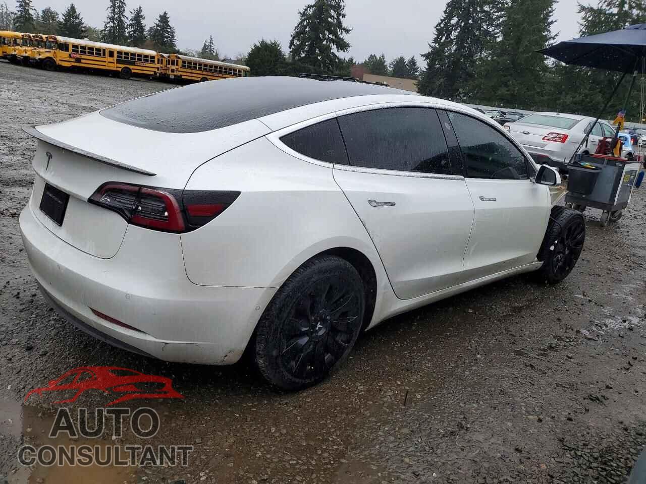 TESLA MODEL 3 2019 - 5YJ3E1EA0KF430749