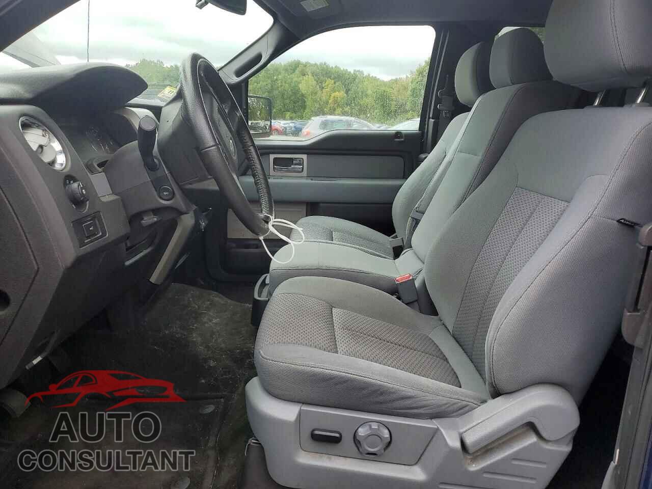 FORD F150 2011 - 1FTFX1EF3BFC33041