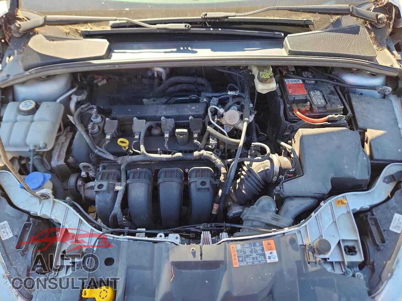 FORD FOCUS 2017 - 1FADP3F23HL313292
