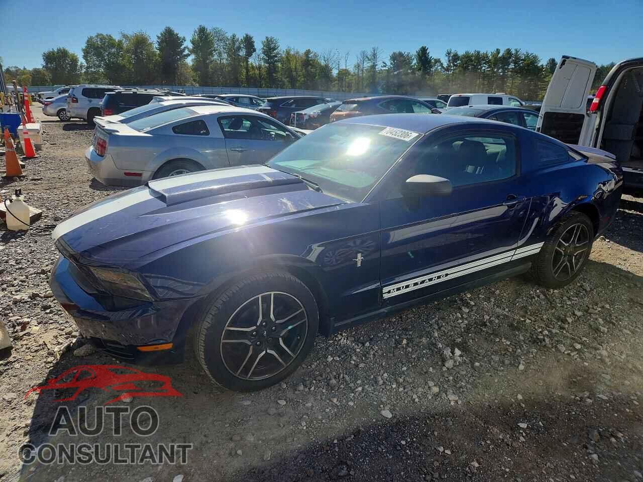 FORD MUSTANG 2010 - 1ZVBP8AN5A5133562