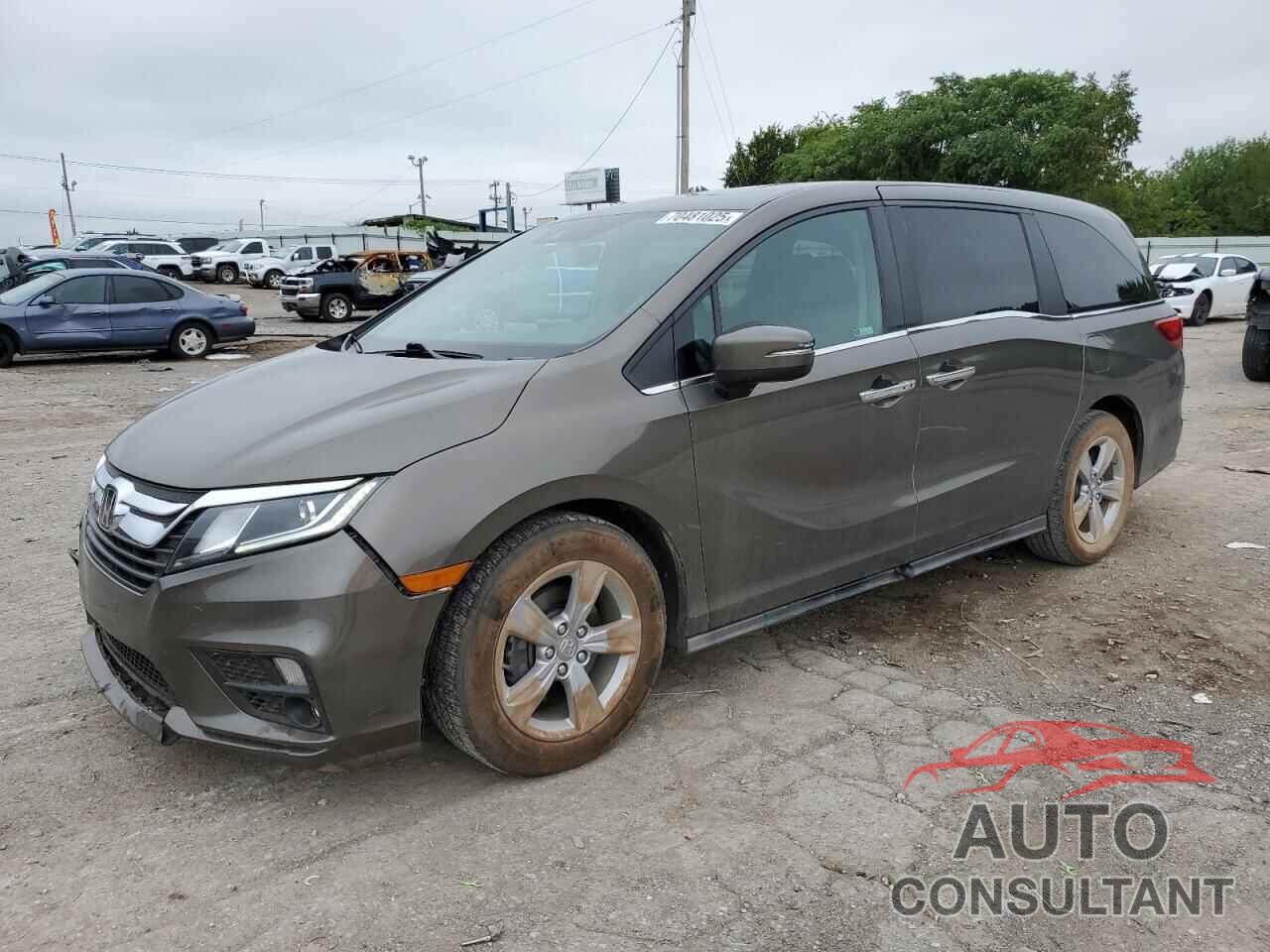HONDA All Models 2019 - 5FNRL6H76KB135023