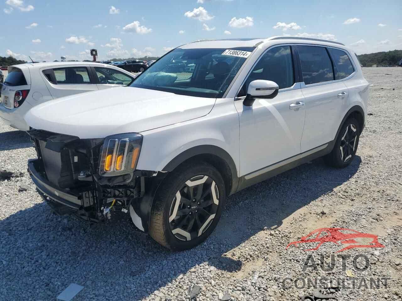 KIA TELLURIDE 2024 - 5XYP64GC6RG478970