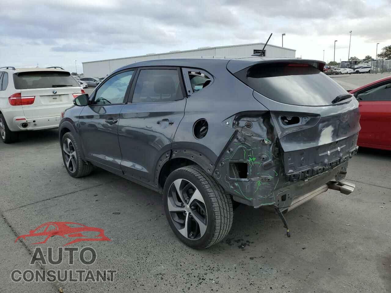 HYUNDAI TUCSON 2017 - KM8J3CA29HU413175