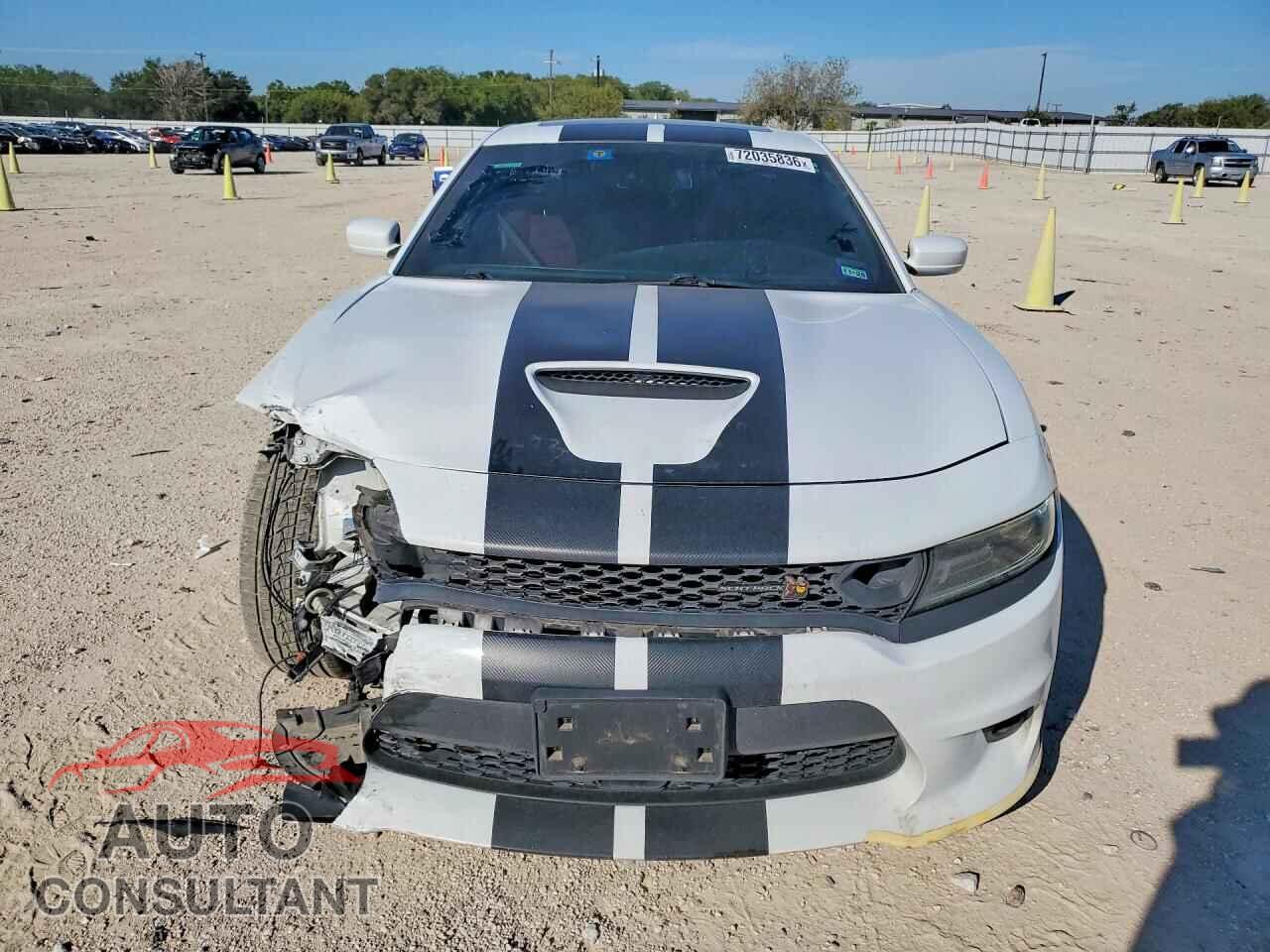 DODGE CHARGER 2019 - 2C3CDXGJ2KH718323