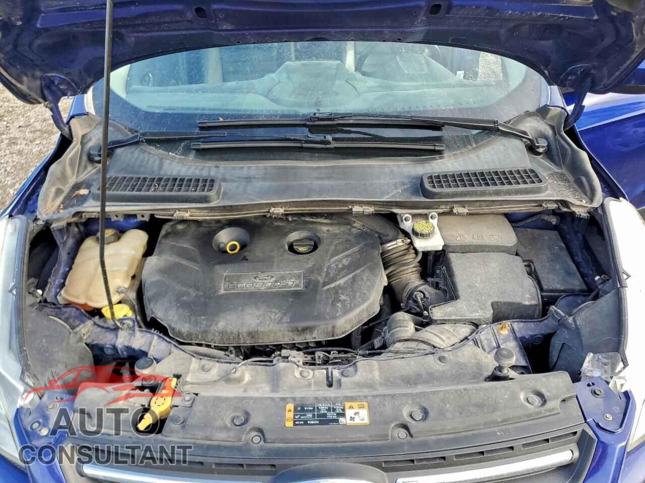 FORD ESCAPE 2016 - 1FMCU9G91GUA96357