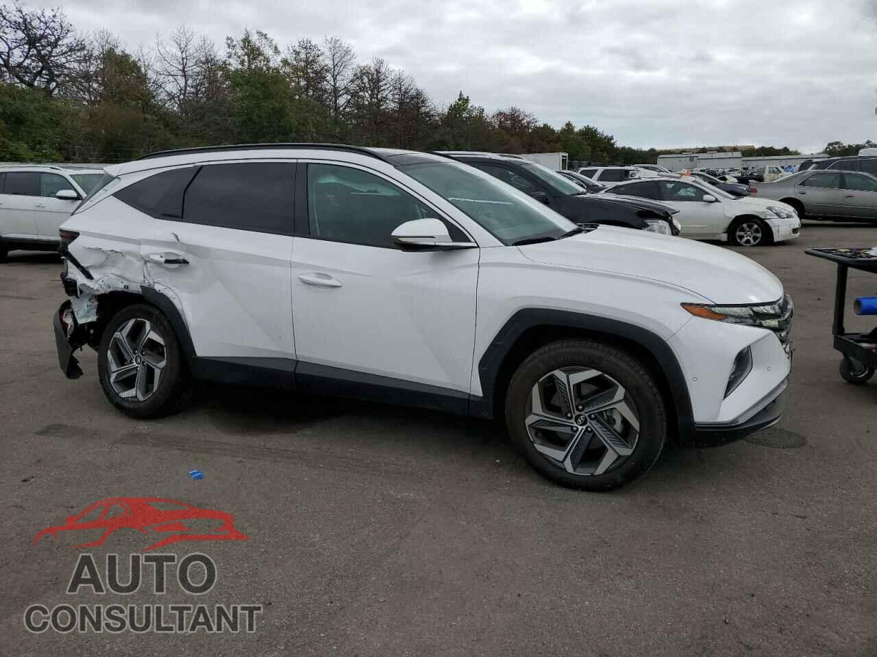 HYUNDAI TUCSON 2024 - 5NMJECDE4RH395102