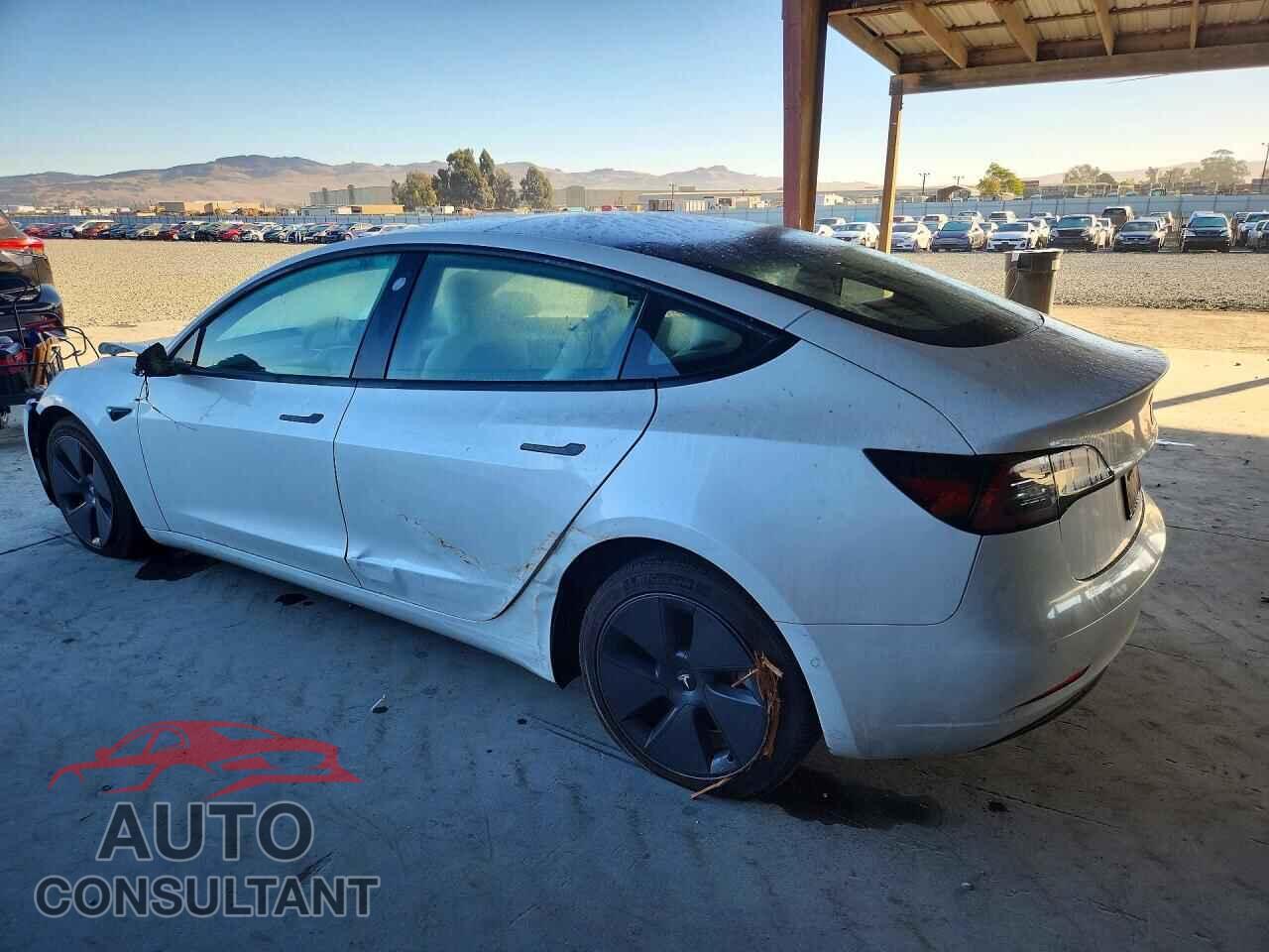 TESLA MODEL 3 2022 - 5YJ3E1EB0NF153646