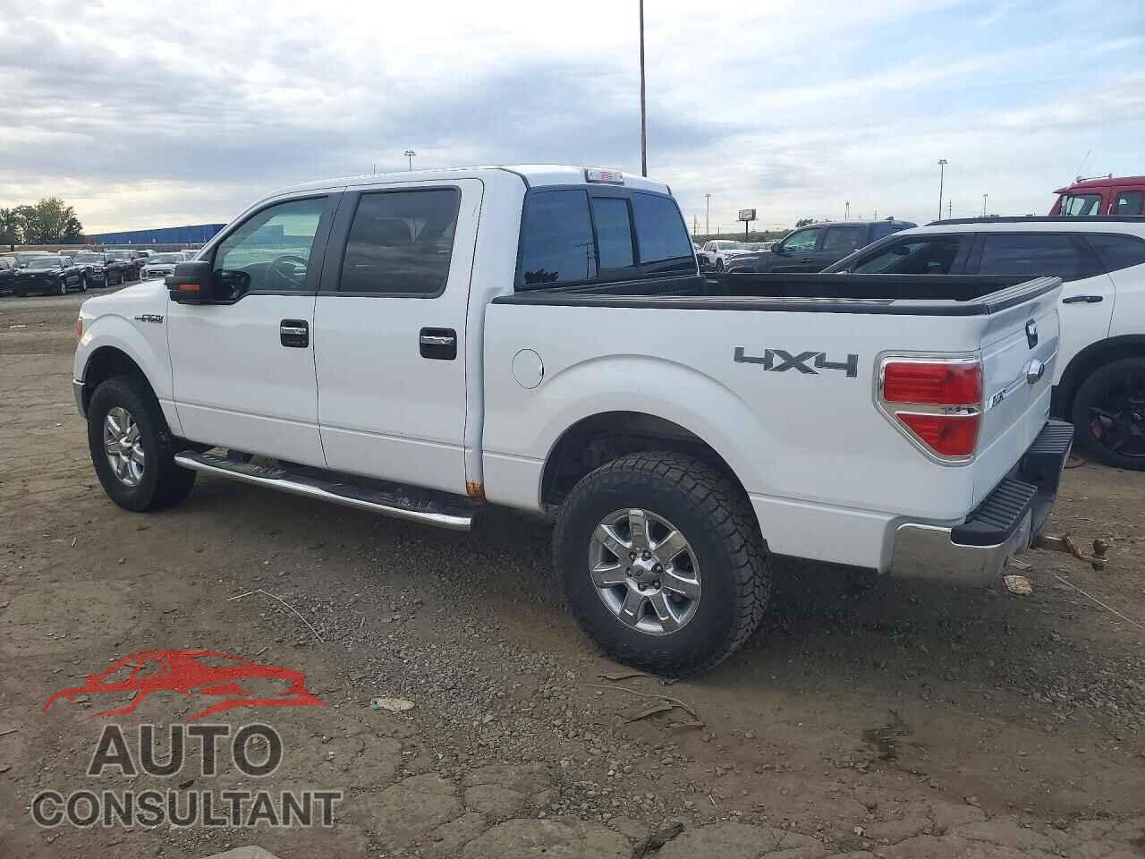 FORD F150 2013 - 1FTFW1EF4DFD80393