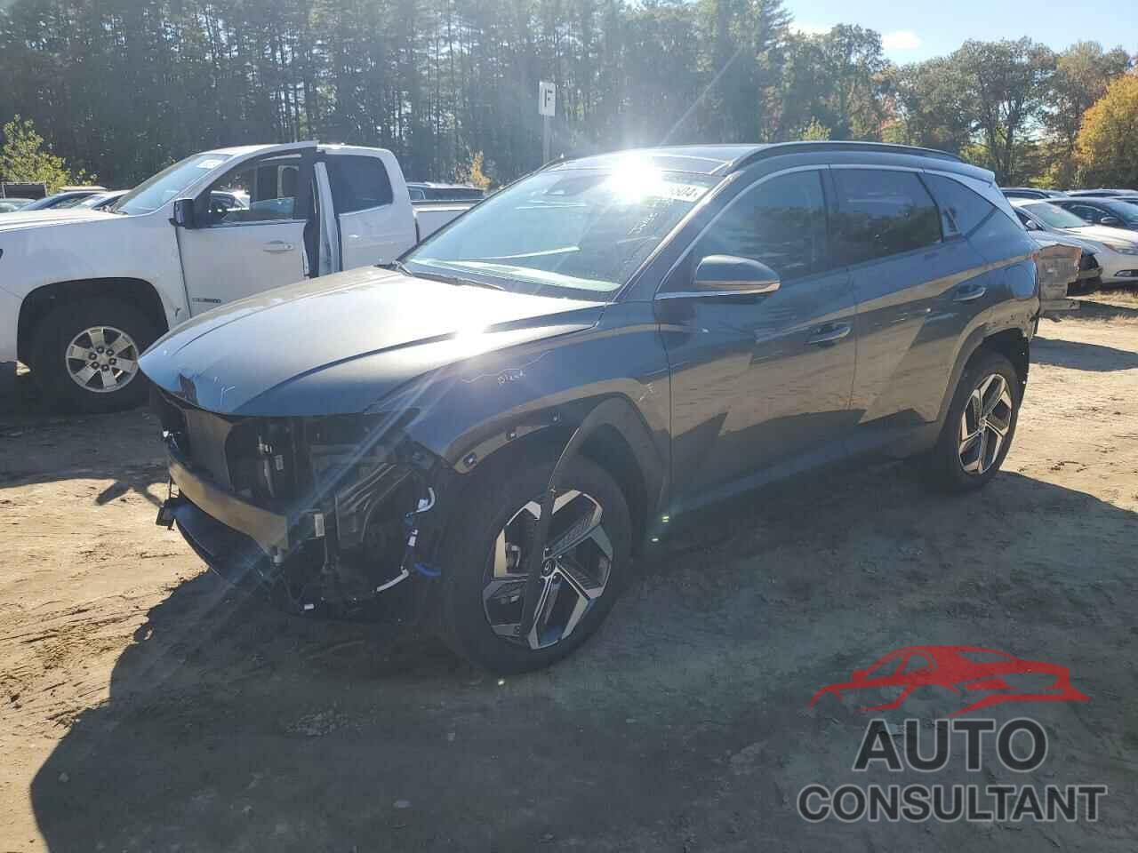 HYUNDAI TUCSON 2023 - 5NMJECAE6PH269342