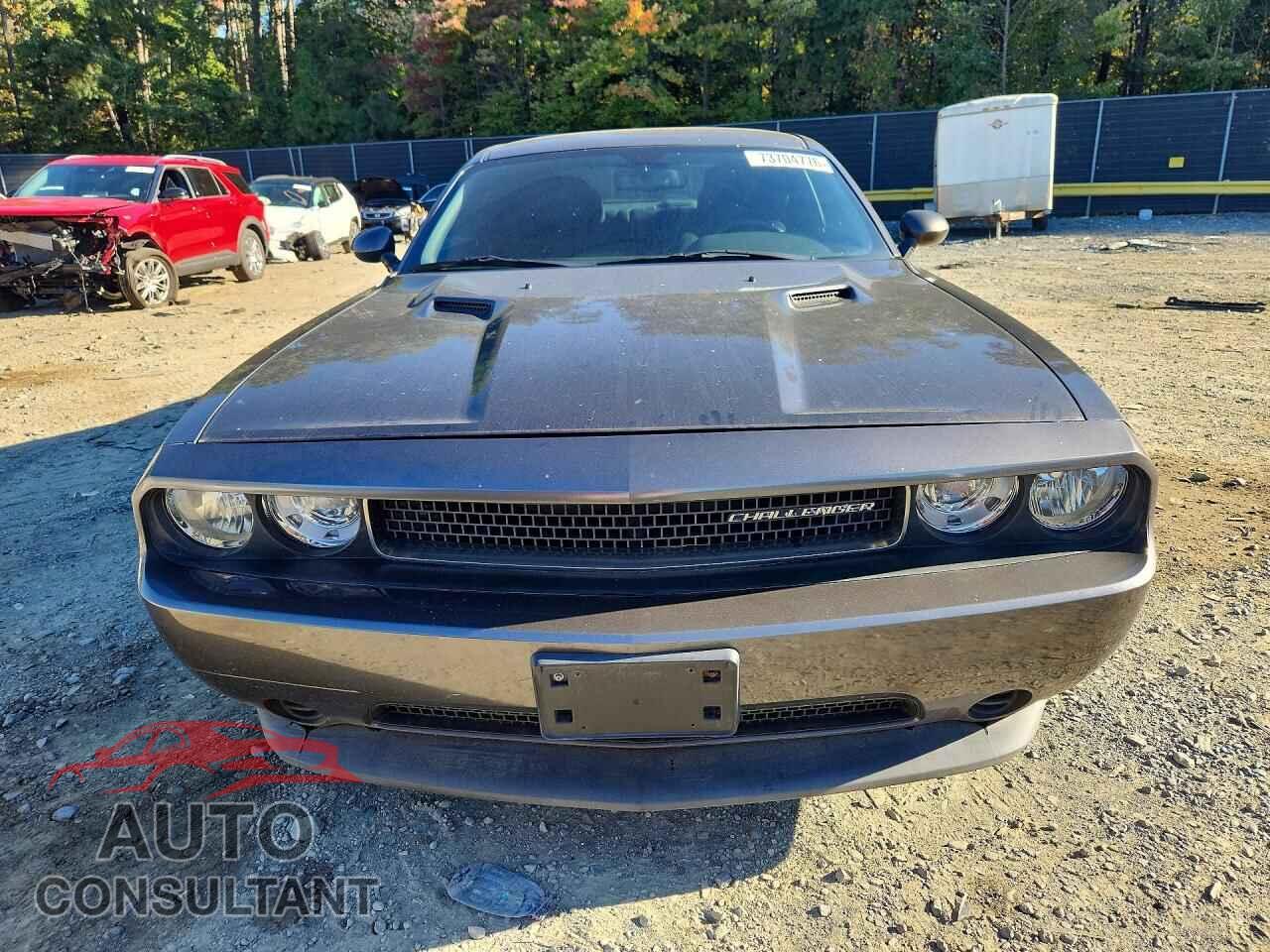 DODGE CHALLENGER 2013 - 2C3CDYAG4DH660169