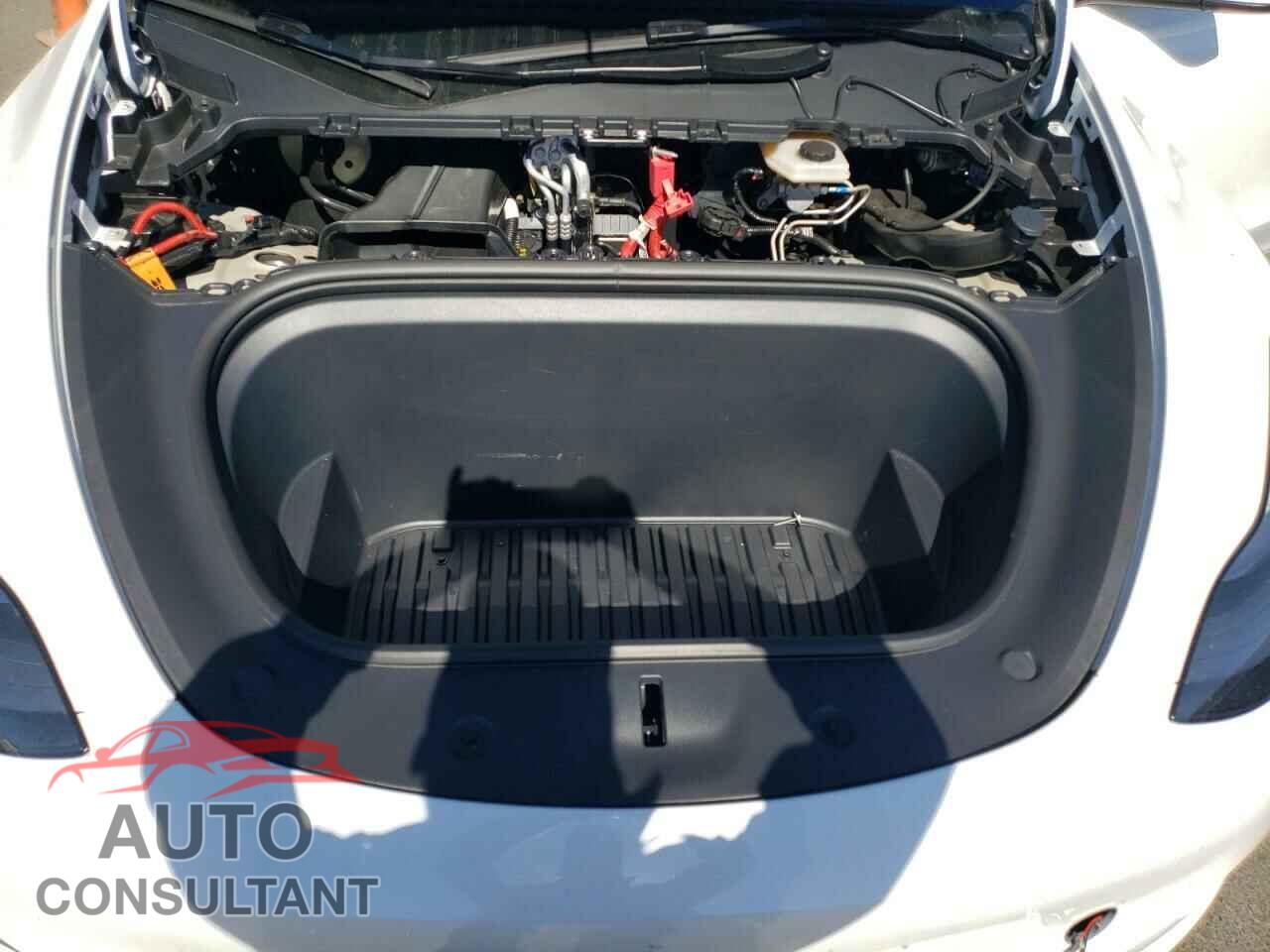 TESLA MODEL Y 2024 - 7SAYGDED5RF080253