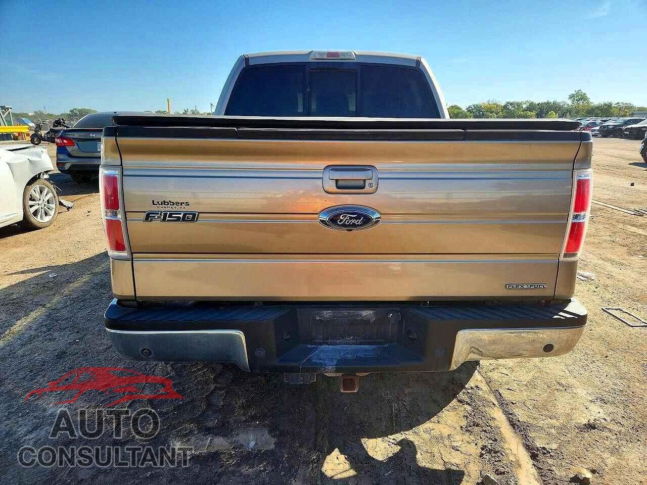 FORD F150 2011 - 1FTFW1EF4BFD39372