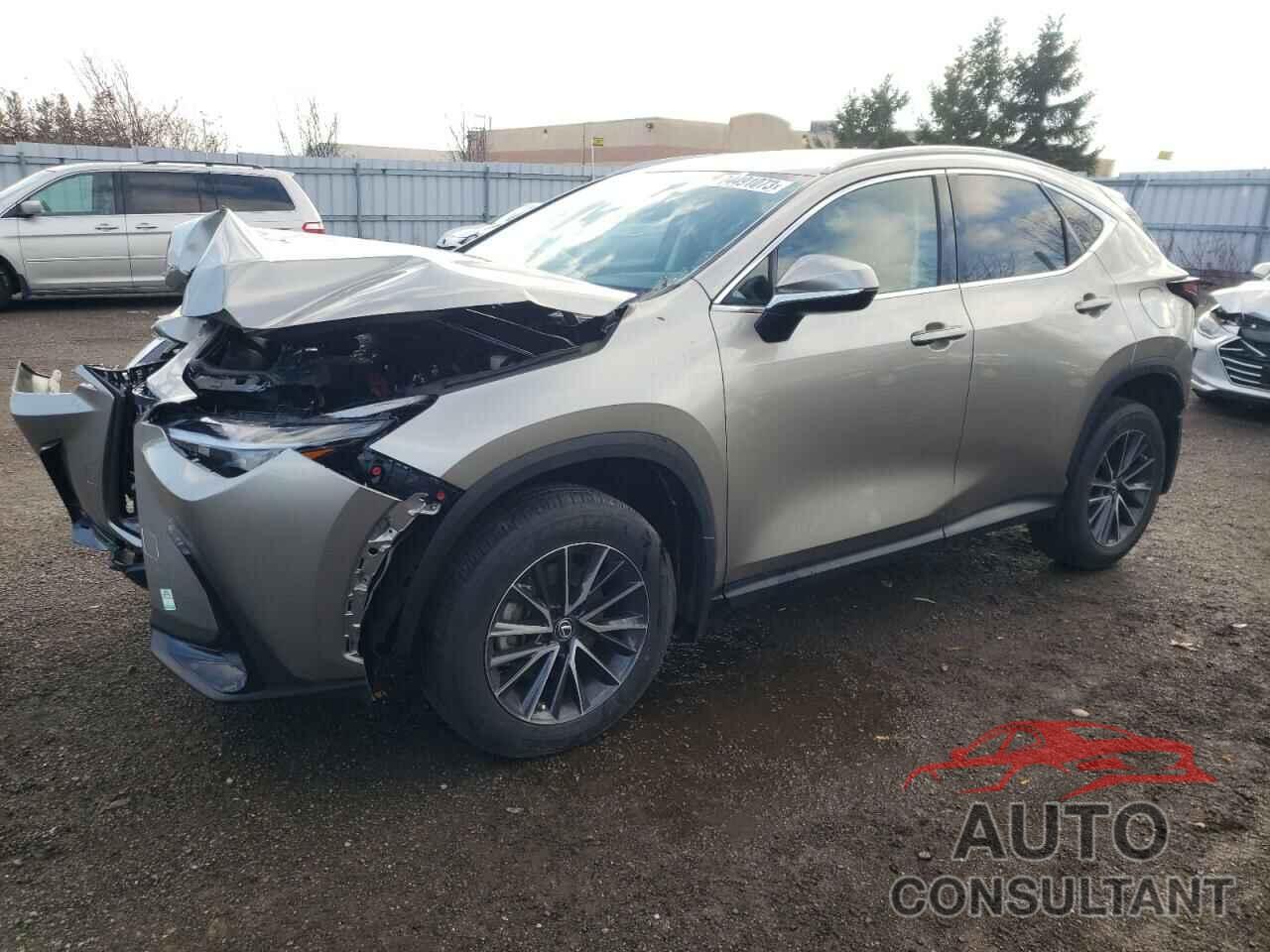 LEXUS NX 250 2022 - 2T2ADCEZ0NC001885