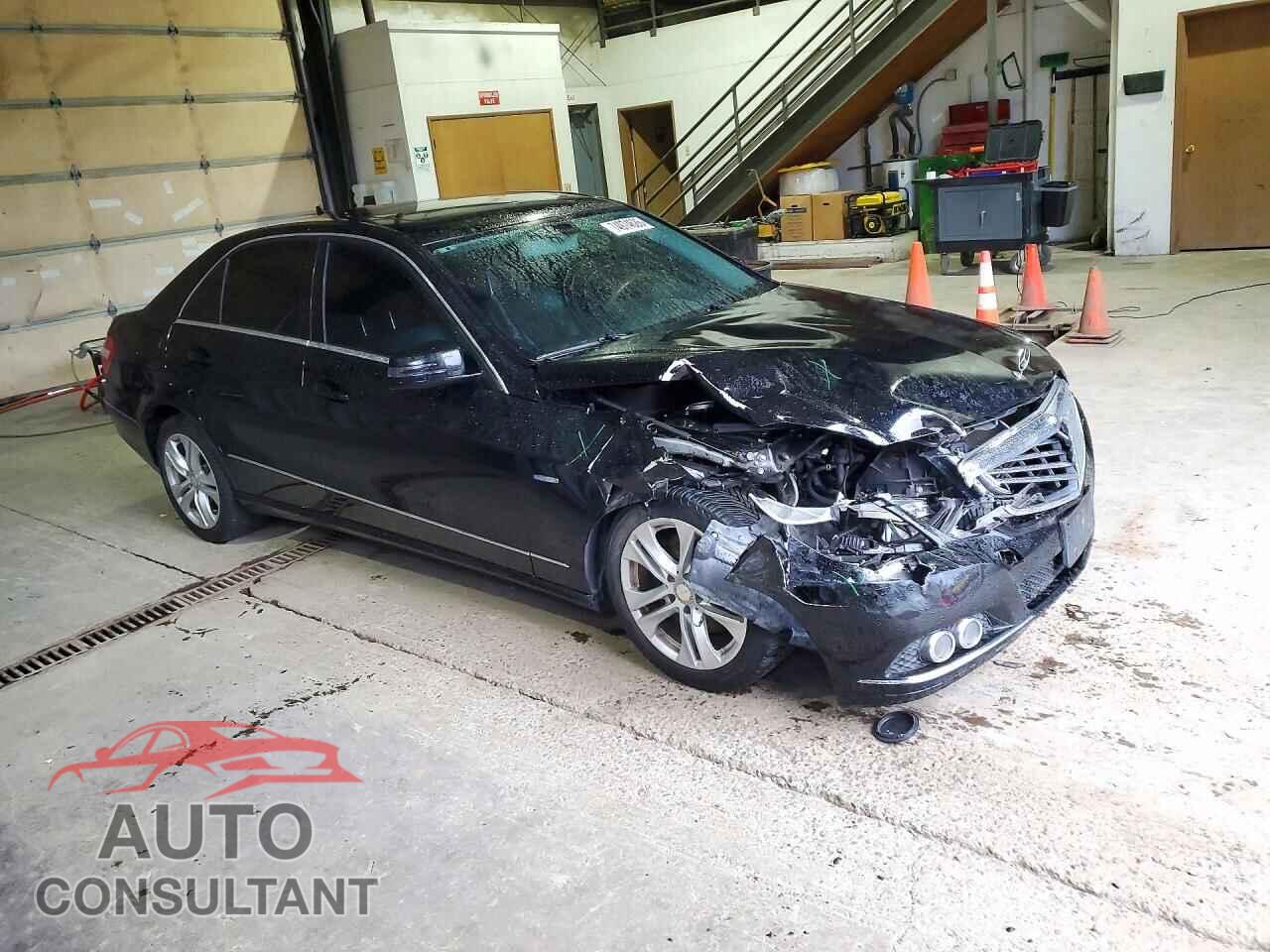 MERCEDES-BENZ E-CLASS 2011 - WDDHF2EB5BA500827