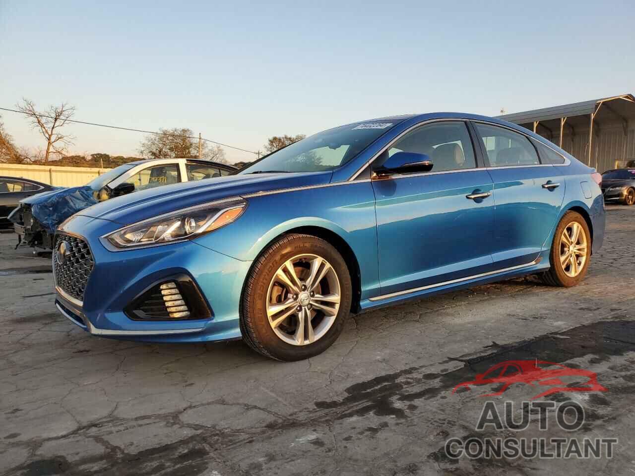 HYUNDAI SONATA 2019 - 5NPE34AF7KH736866