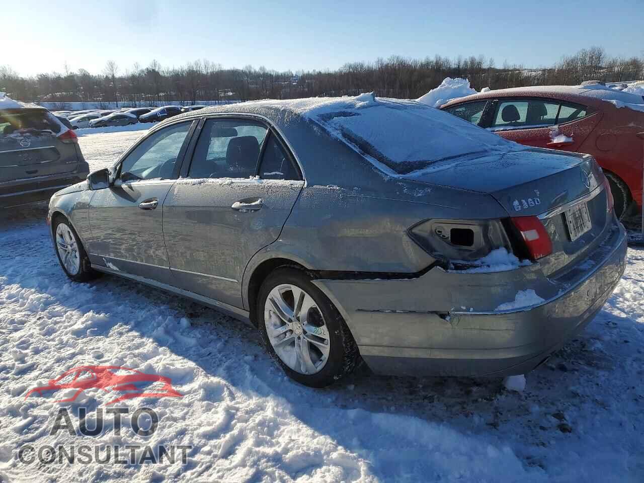 MERCEDES-BENZ E-CLASS 2010 - WDDHF8HB0AA113759