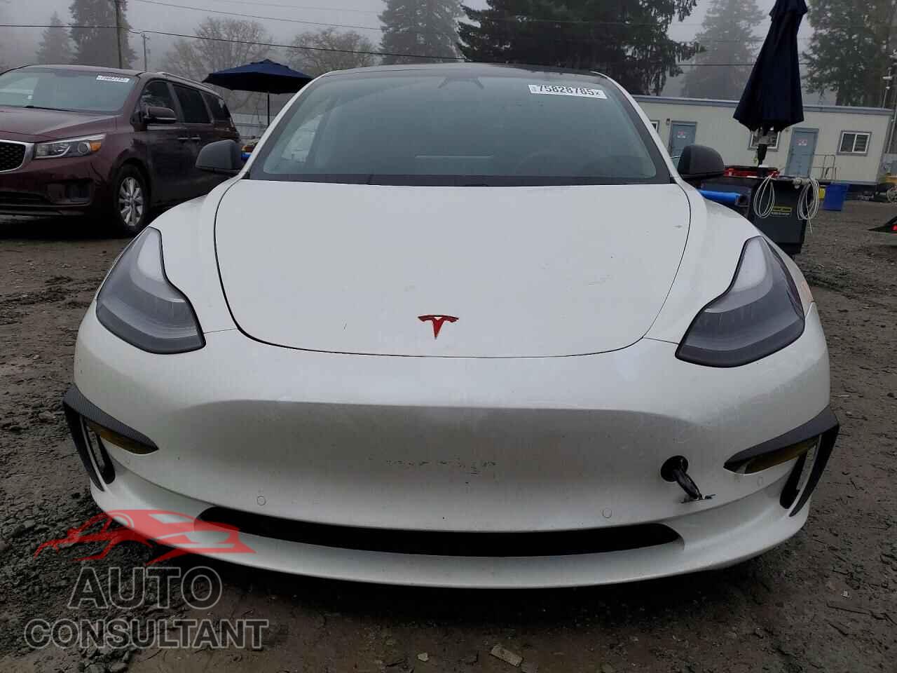 TESLA MODEL 3 2021 - 5YJ3E1EC7MF001614