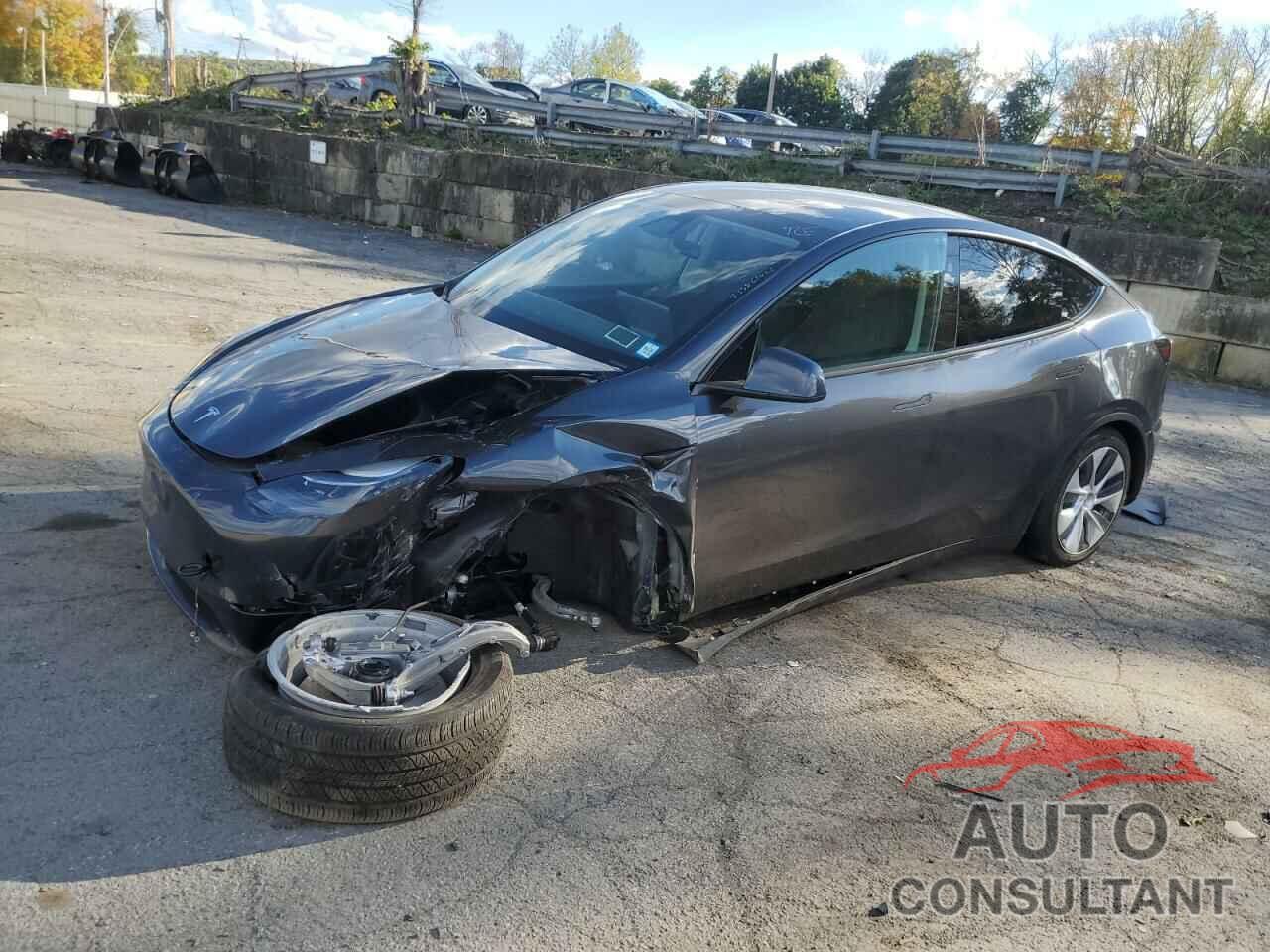 TESLA MODEL Y 2024 - 7SAYGAEE6RF067003