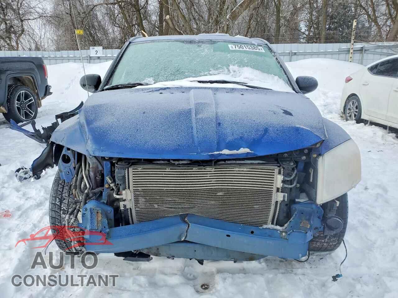 DODGE CALIBER 2009 - 1B3HB48A09D203818