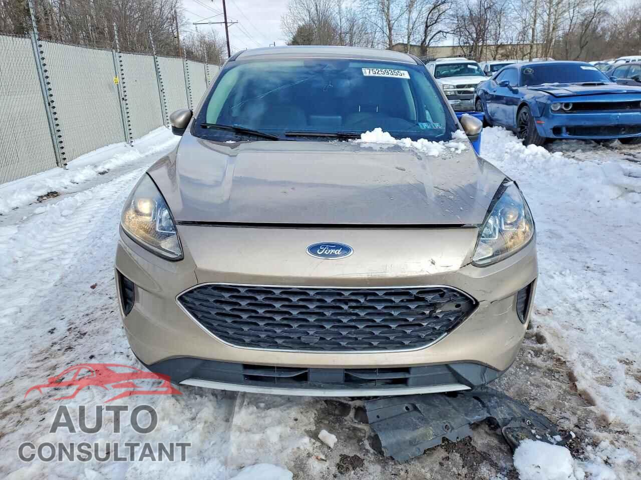 FORD ESCAPE 2020 - 1FMCU0G62LUA13918