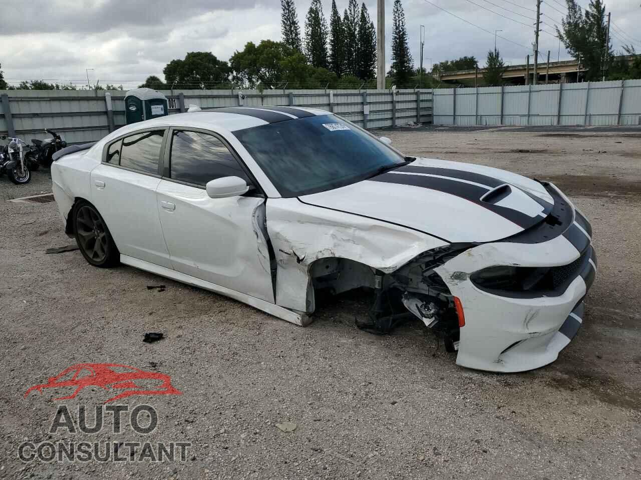 DODGE CHARGER 2019 - 2C3CDXCTXKH749343