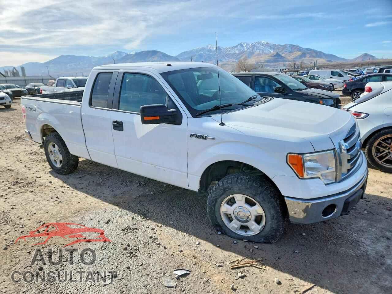FORD F-150 2011 - 1FTFX1EF8BFB44064
