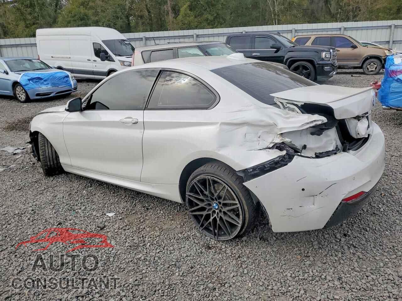 BMW 2 SERIES 2019 - WBA2J1C54KVD10001