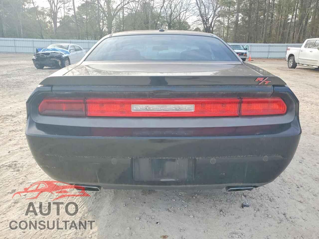 DODGE CHALLENGER 2013 - 2C3CDYBT1DH724910