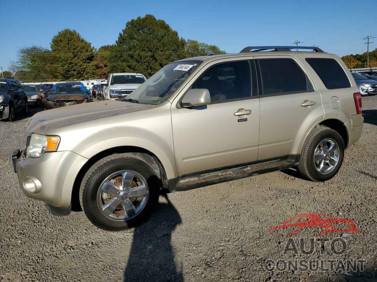 FORD ESCAPE 2011 - 1FMCU0EG0BKA72813